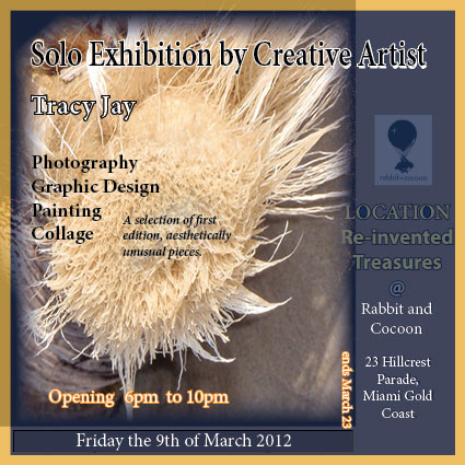 Solo Exhibition at Rabbit and Cocoon by Tracy Jay